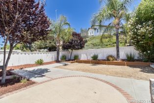 Single Family Residence, 29751 Calle Palmas, Temecula, CA 92591 - 24