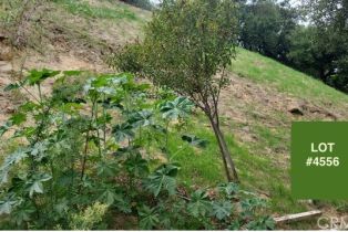 , 4601 Ensenada dr, Woodland Hills, CA 91364 - 2