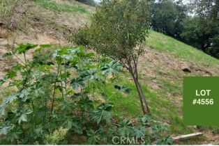 , 4601 Ensenada dr, Woodland Hills, CA 91364 - 3