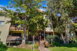 Residential Lease, 445 Ivy ST, CA  , CA 91204