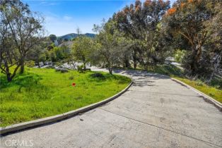 Single Family Residence, 11 Mustang ln, Bell Canyon, CA 91307 - 52