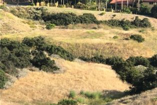 Land, 24201 Mulholland HWY, Calabasas, CA  Calabasas, CA 91302