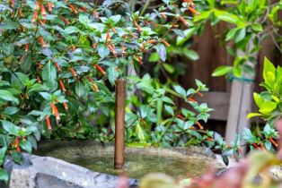 Single Family Residence, 1177 Norwich ln, Ventura, CA 93001 - 6