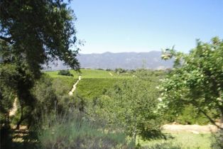 Residential Lease, 1975 Valley Meadow DR, Oak View, CA  Oak View, CA 93022