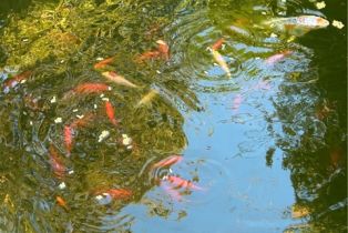 Single Family Residence, 28661 Acacia Glen st, Agoura Hills, CA 91301 - 34