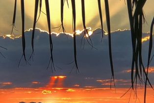 Single Family Residence, 4310 Torreon dr, Woodland Hills, CA 91364 - 3