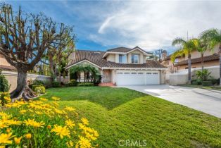 Single Family Residence, 24762 VIA PRADERA, Calabasas, CA 91302 - 2