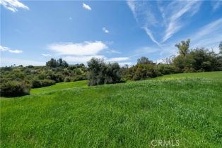 , 24415 Mulholland hwy, Calabasas, CA 91302 - 3