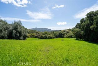 , 24415 Mulholland hwy, Calabasas, CA 91302 - 5