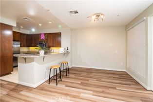 Condominium, 21301 Erwin st, Woodland Hills, CA 91367 - 6