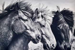 Single Family Residence, 10317 Steven pl, Chatsworth, CA 91311 - 14