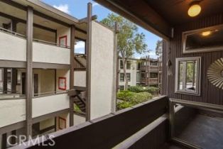 Condominium, 7765 91st st, Playa Del Rey , CA 90293 - 11