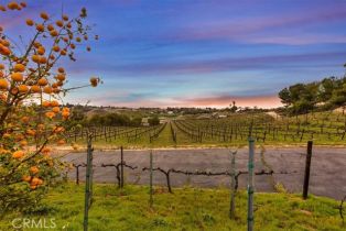 Single Family Residence, 38330 De Portola rd, Temecula, CA 92592 - 2