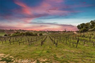 Single Family Residence, 38330 De Portola rd, Temecula, CA 92592 - 45