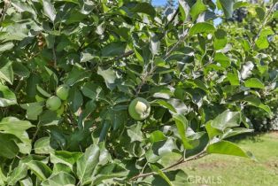 Single Family Residence, 22733 Clarendon st, Woodland Hills, CA 91367 - 37