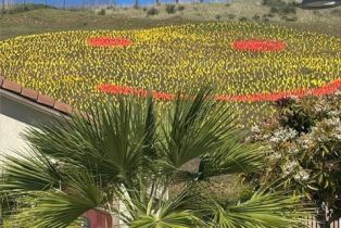 Condominium, 2430 Ascending Oaks ln, Simi Valley, CA 93063 - 44