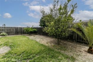 Single Family Residence, 14494 Cambridge st, Moorpark, CA 93021 - 43