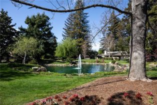 Single Family Residence, 72 Bay Tree ln, Los Altos, CA 94022 - 29