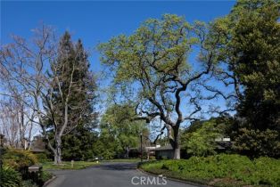 Single Family Residence, 72 Bay Tree ln, Los Altos, CA 94022 - 30