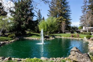 Single Family Residence, 72 Bay Tree ln, Los Altos, CA 94022 - 33