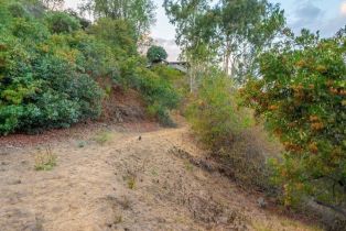 , 3544 Multiview dr, Studio City, CA 90068 - 6