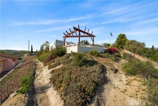Single Family Residence, 12521 Mcferon rd, Poway, CA 92064 - 17