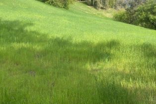 , 4950 Vanalden, Tarzana, CA 91356 - 10