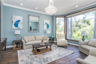 Single Family Residence, 255 Bell Canyon rd, Bell Canyon, CA 91307 - 4