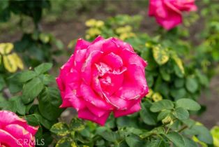 Single Family Residence, 12843 Sarah st, Studio City, CA 91604 - 31