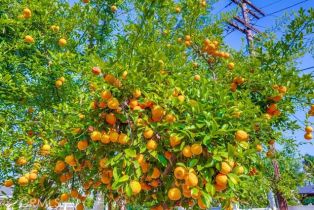 Single Family Residence, 2748 Orange Grove blvd, Pasadena, CA 91107 - 21