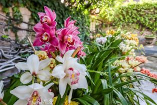 Single Family Residence, 4575 De Celis pl, Encino, CA 91436 - 61