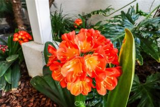 Single Family Residence, 4575 De Celis pl, Encino, CA 91436 - 7