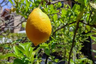 Condominium, 4917 Santo dr, Oak Park, CA 91377 - 42