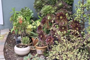 Single Family Residence, 2149 Clover st, Simi Valley, CA 93065 - 5