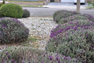 Single Family Residence, 2149 Clover st, Simi Valley, CA 93065 - 7