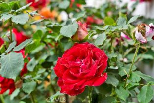 Single Family Residence, 21820 Dumetz rd, Woodland Hills, CA 91364 - 65