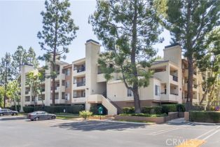 Residential Lease, 21500 Burbank Blvd, Woodland Hills, CA  Woodland Hills, CA 91367
