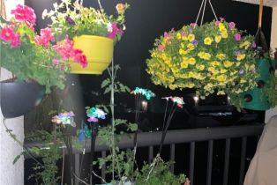 Condominium, 21520 Burbank blvd, Woodland Hills, CA 91367 - 8