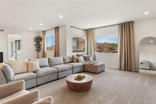 Single Family Residence, 1134 Calle Pinata, CA  , CA 91360