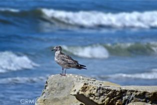 , 6912 San Fernando ave, Ventura, CA 93001 - 15