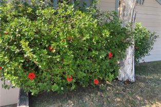 Condominium, 9917 Independence ave, Chatsworth, CA 91311 - 42