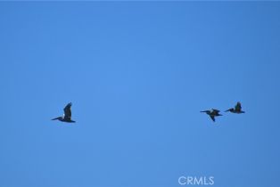 , 6897 Zelzah ave, Ventura, CA 93001 - 16