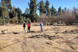 , 16051 Los Alimos st, Granada Hills, CA 91344 - 10