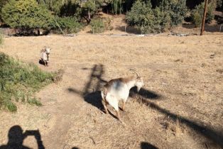 , 16051 Los Alimos st, Granada Hills, CA 91344 - 9