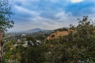 Residential Lease, 4184 Vanetta Dr, Studio City, CA  Studio City, CA 91604