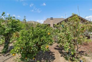 Single Family Residence, 4004 Snowgoose st, Simi Valley, CA 93065 - 50