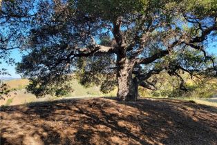 , 28343 Foothill dr, Agoura Hills, CA 91301 - 3