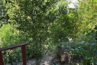 Single Family Residence, 22633 Crespi st, Woodland Hills, CA 91364 - 53