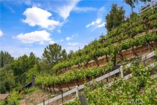 Single Family Residence, 5558 Hoback Glen rd, Hidden Hills , CA 91302 - 36