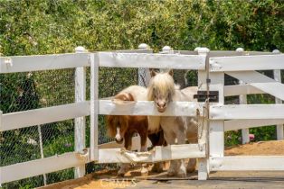 Single Family Residence, 5558 Hoback Glen rd, Hidden Hills , CA 91302 - 39